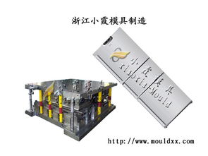 配套模具 冰箱塑料模具 塑料冰箱模具 中国小霞塑料模具公司